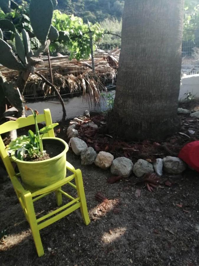 קפלוס Dionisia Apartments 8 מראה חיצוני תמונה